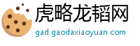 虎略龙韬网